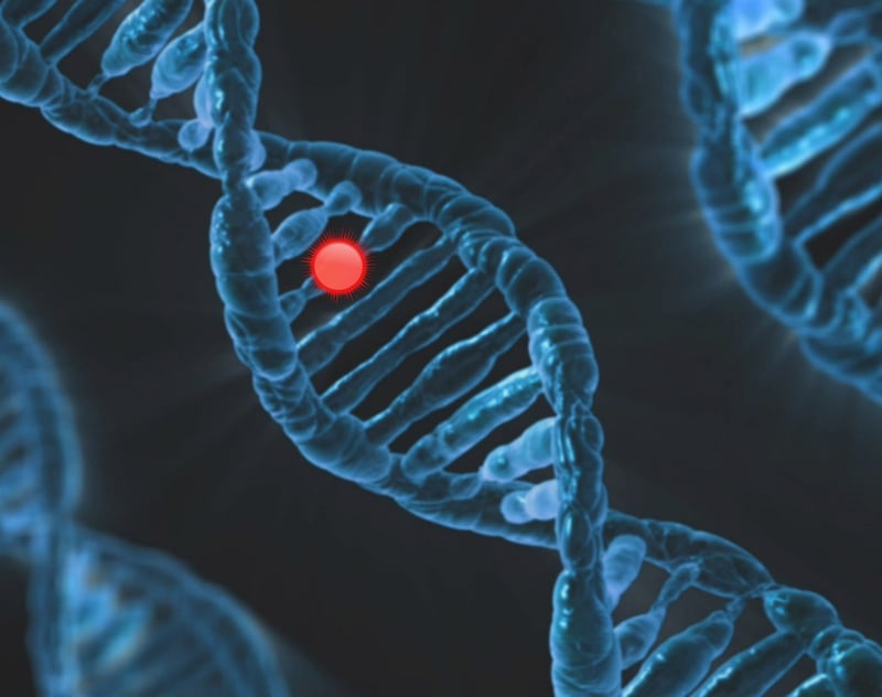 Genetic Counseling
